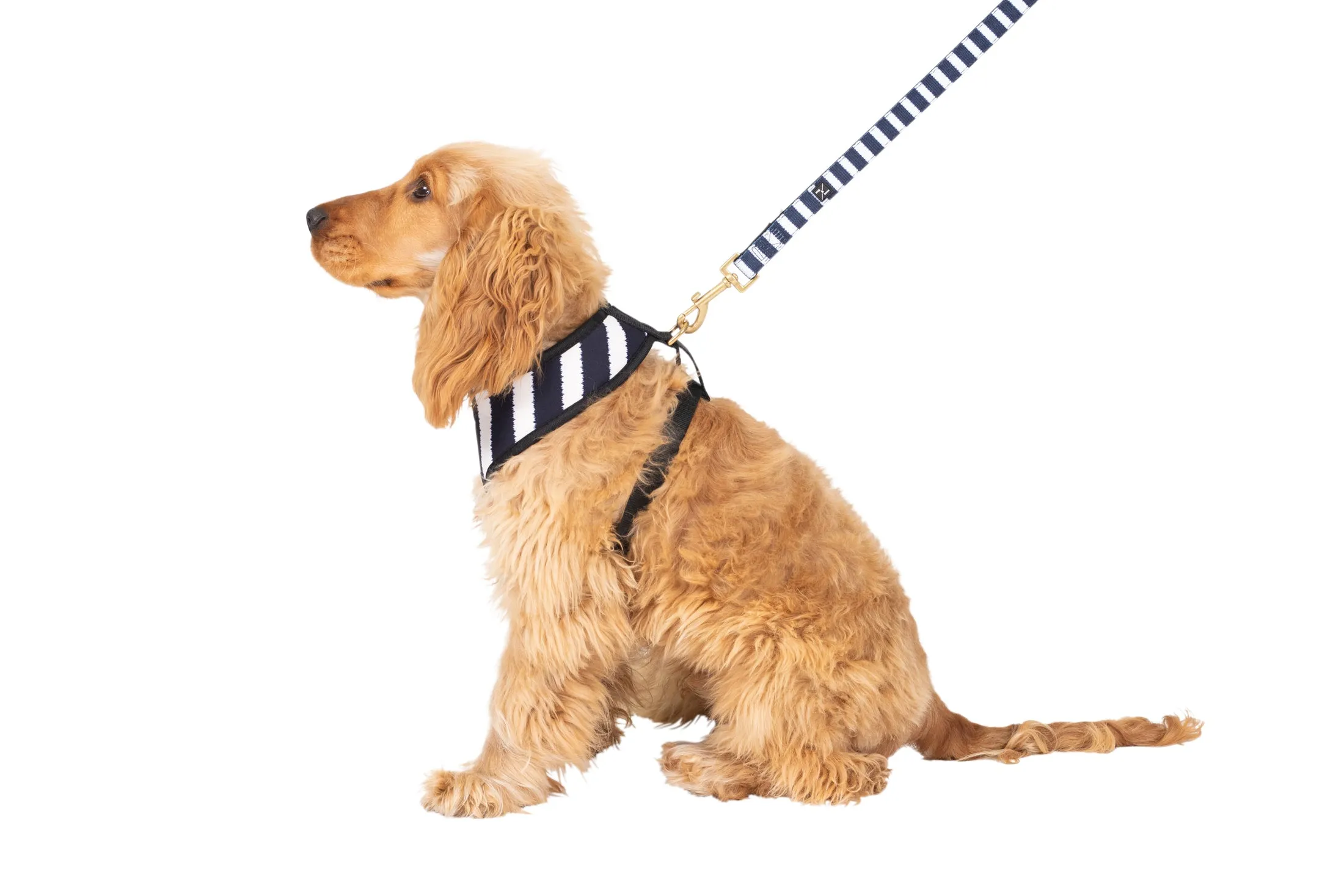 Neoprene Dog Harness - Navy Hamptons Stripe